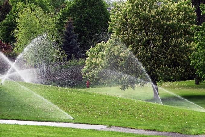 Pop-up sprinklers watering a landscaped lawn